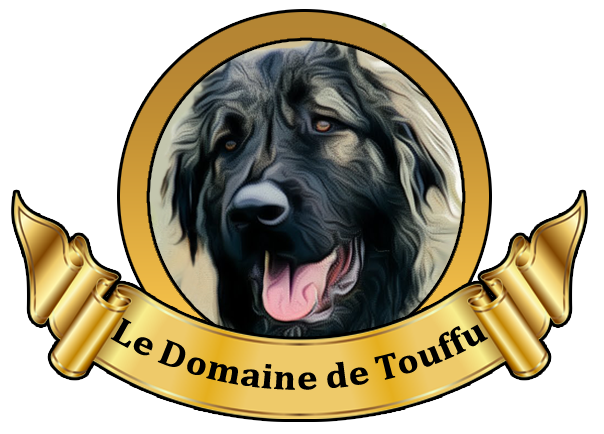 Pension canine entre Ancenis et Châteaubriant